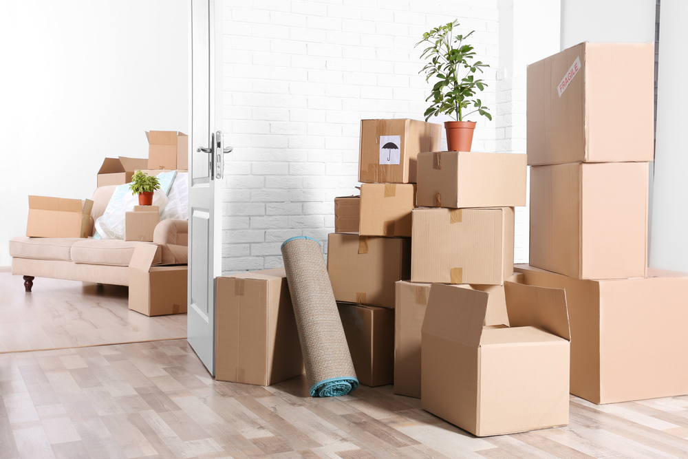 Avati Safe Storage - Latest update - Best Packers And Movers In Bangalore For Local Shifting